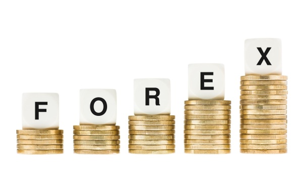 ஆரோக்கியமான அன்னிய செலாவணி கையிருப்பு 