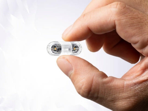 எப்படி வேலை செய்கின்றன?