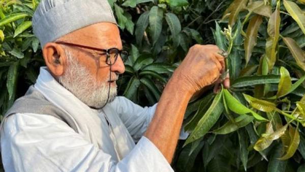 120 ஆண்டு பழமையான மரம் 