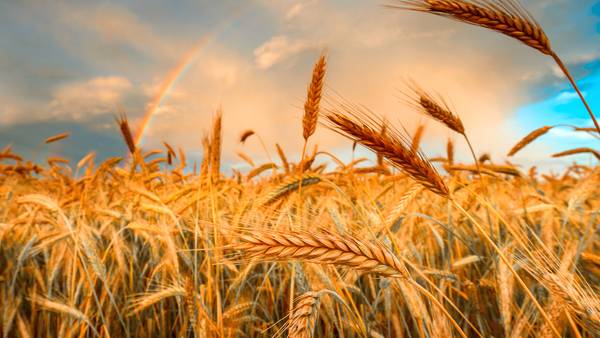 விலை உயர்வு