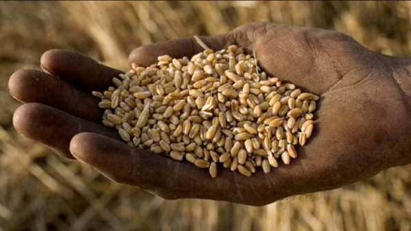 ஒட்டுமொத்த தடை இல்லை 