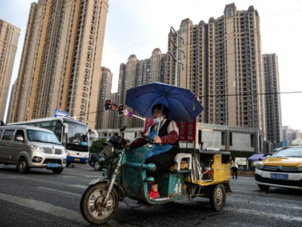 கோதுமைக்கு வீடு 