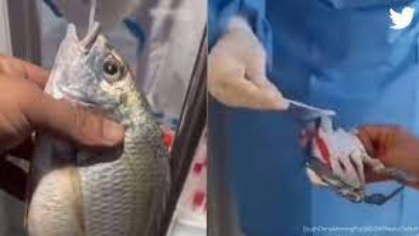 மக்கள் அச்சம்