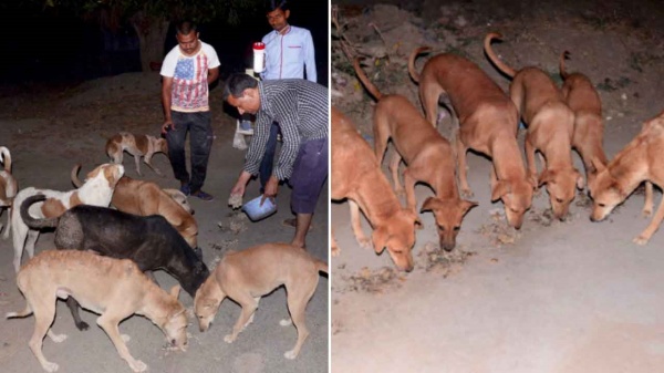 சிறப்பு பாத்திரங்கள்