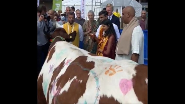 'கோ' பூஜை