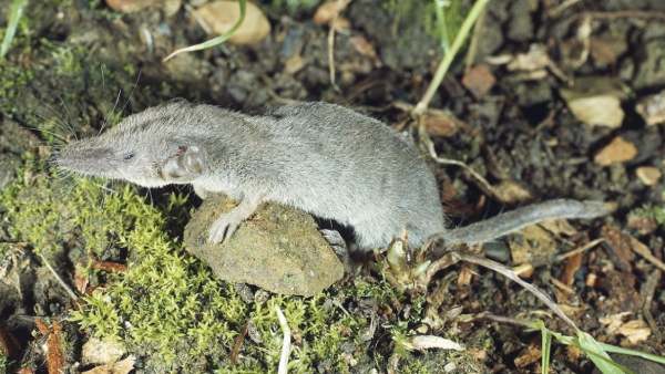 உக்ரைன் 