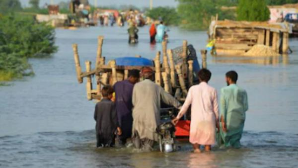 மழை வெள்ளம் 