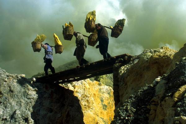 பாதுகாப்பு