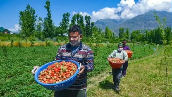 இந்தியா திரும்பினார்