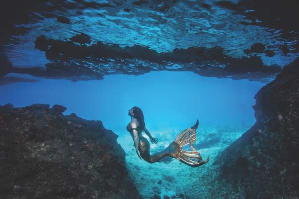 வால்ட் டிஸ்னி பிக்சர்ஸ் 