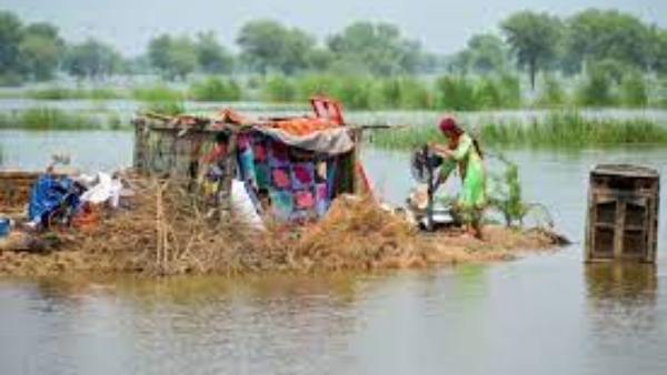  தொற்றால் பாதிப்பு