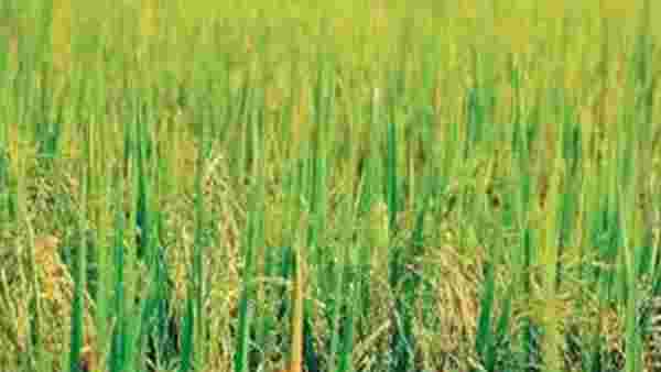 உற்பத்தி சரிவு