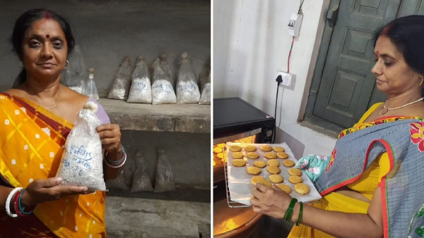 ஆப்லைன் பயிற்சி 