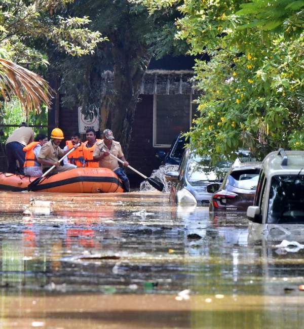 இ-காமர்ஸ் நிறுவனங்கள் 