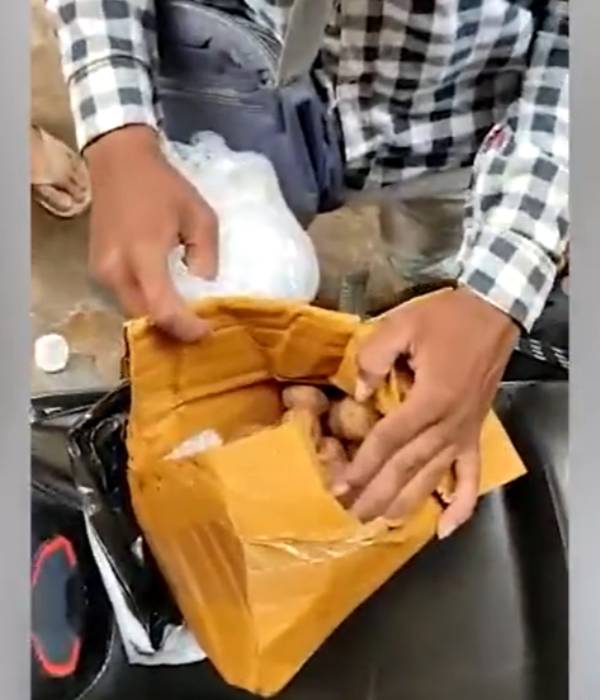 ட்ரோன் - உருளை கிழங்கு 