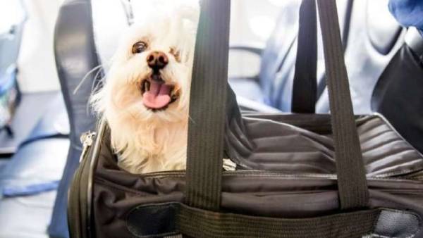 தன்னார்வ தொண்டு நிறுவனம்