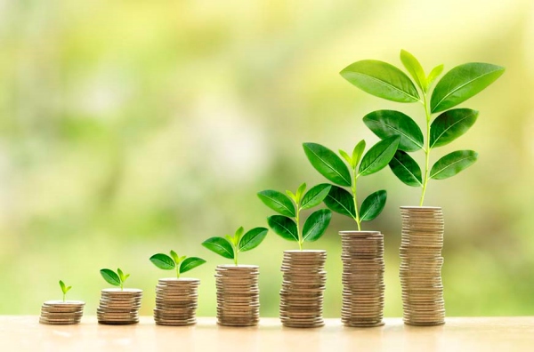 டூப்ளிகேட் ஸ்டேட்மெண்ட்