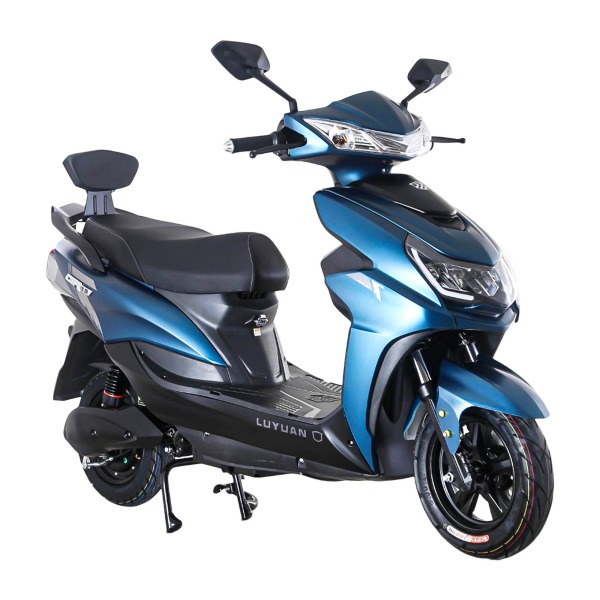 எலக்ட்ரிக் வாகன நிறுவனங்கள் 