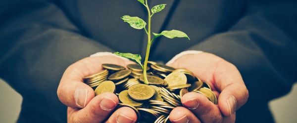 தரமான பங்குகளில் முதலீடு 