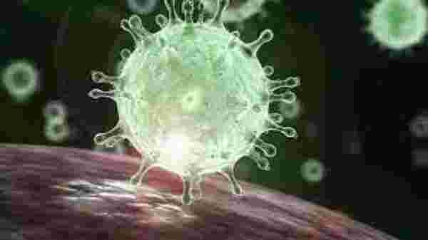 கொரோனா, ரஷ்யா - உக்ரைன் போர் 