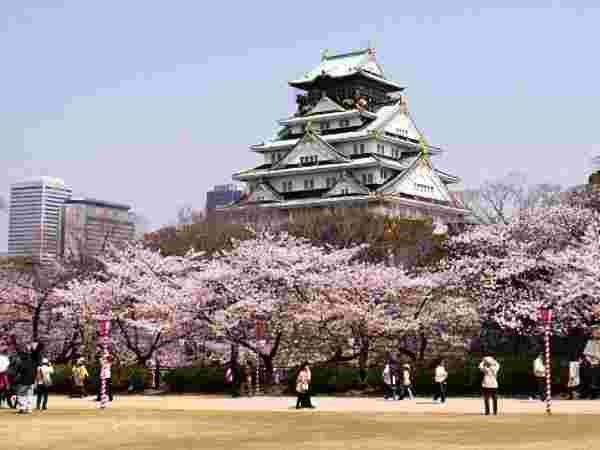 ஜப்பான்