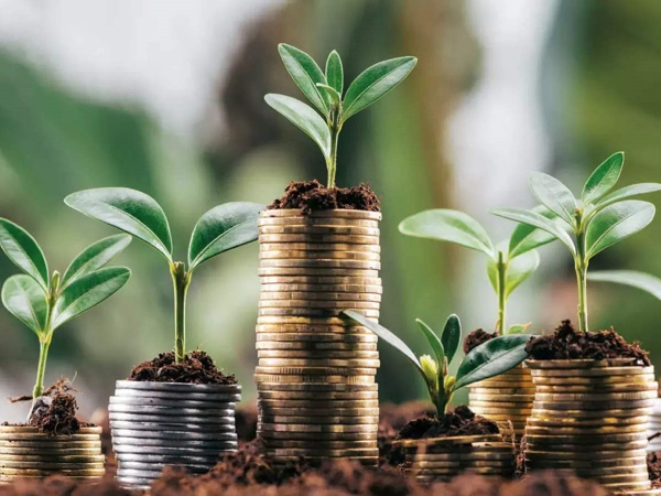 இணையதளம் 