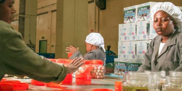 கெனாஃப்ரிக் பிஸ்கட் 