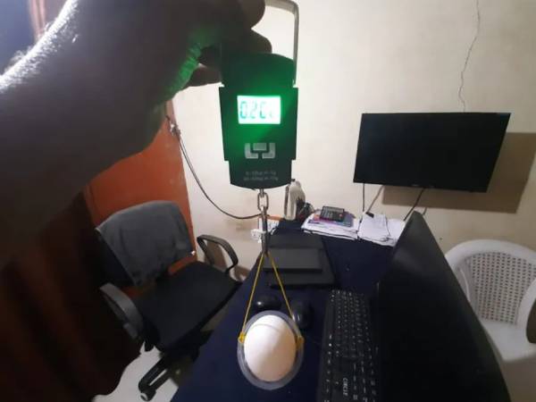 210 கிராம் முட்டை 