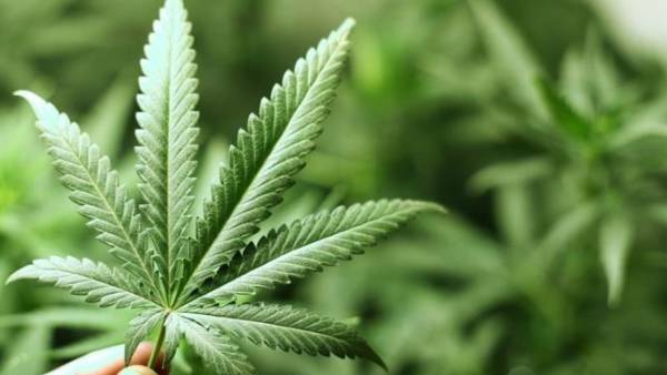 பொழுதுபோக்கு நோக்கங்களுக்கு மட்டும் 