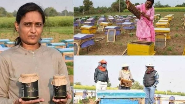 கிருஷி விக்யான் கேந்திரா