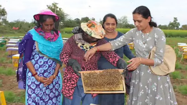 ஹிமான்ஷு - தன்வி தம்பதி