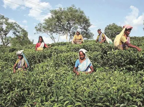 விலை உயர்வு 