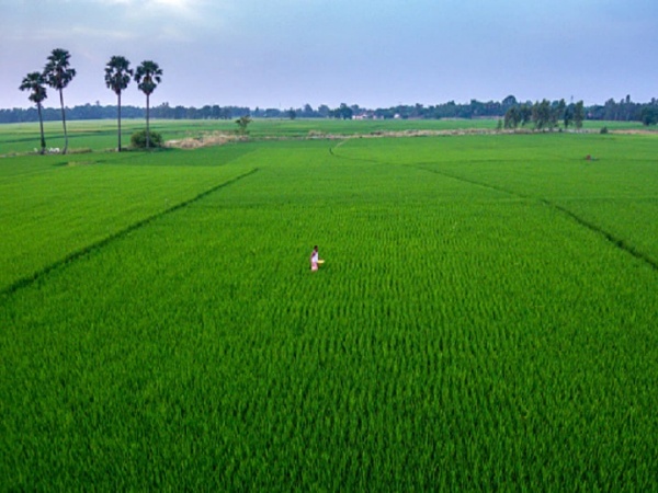 லிஃப்ட் பாசனம்