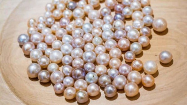 சைட்பிஸ்னஸ் 