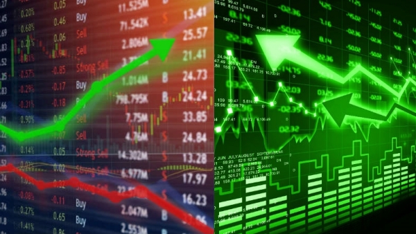 மல்டிபேக்கர்