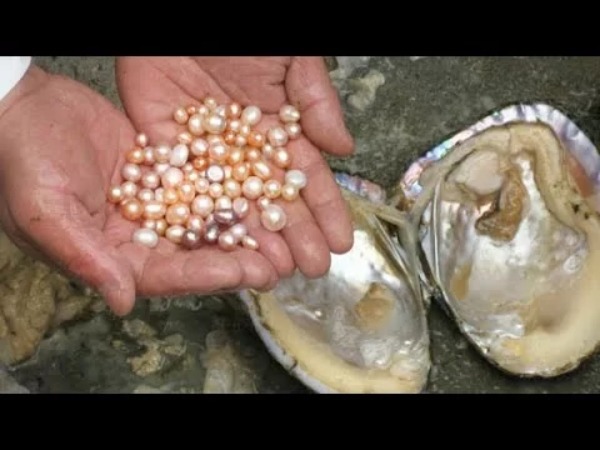 வருடத்திற்கு 30 - 35 லட்சம் 