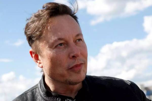  வழக்கறிஞர் கிரெக் வரல்லோ 