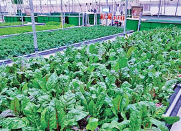 அதிக விலை கொடுத்து வாங்க வேண்டிய நிலை