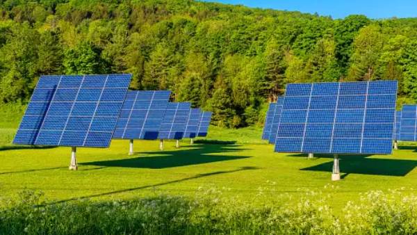 பசுமை எரிசக்தியிலும் கவனம்