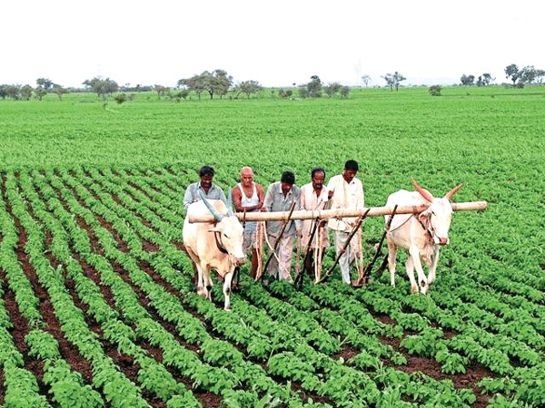 அரசு நடவடிக்கை