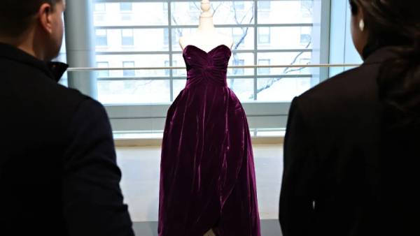 டயானாவின் வெல்வெட் கவுன் 