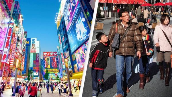 வேலை வாய்ப்புகள் 