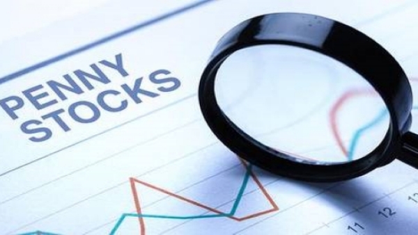 மாபெரும் வளர்ச்சி 