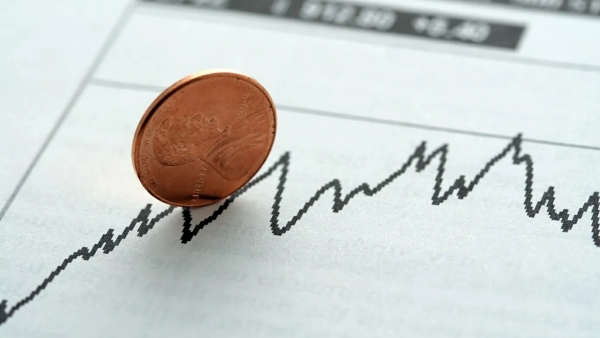 இமாலய வளர்ச்சி 