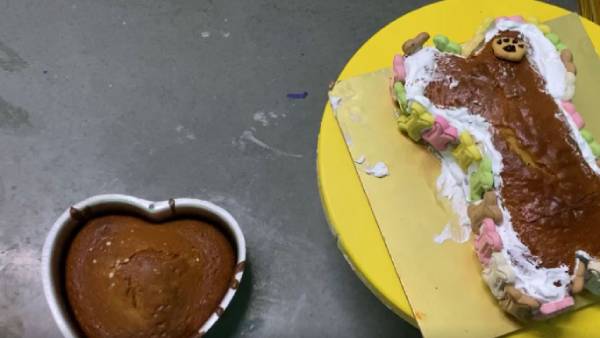 நாய்களுக்கான உணவு தேவை 