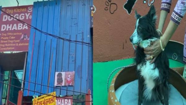 பிடித்த உணவுகளை வாங்கிக் கொடுக்கலாம் 