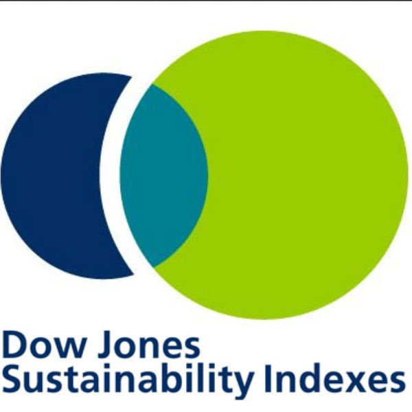 Dow Jones Sustainability குறியீடு 
