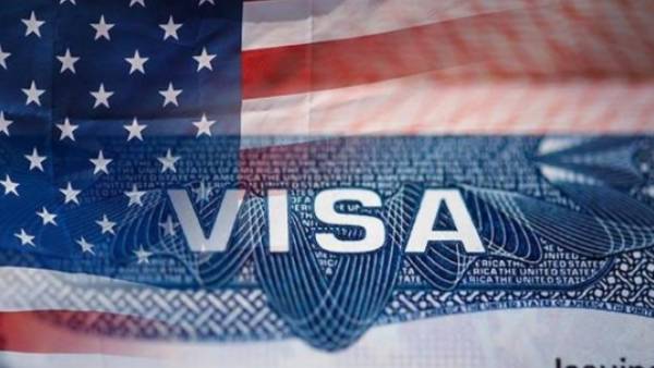 விசா ரினிவல் 