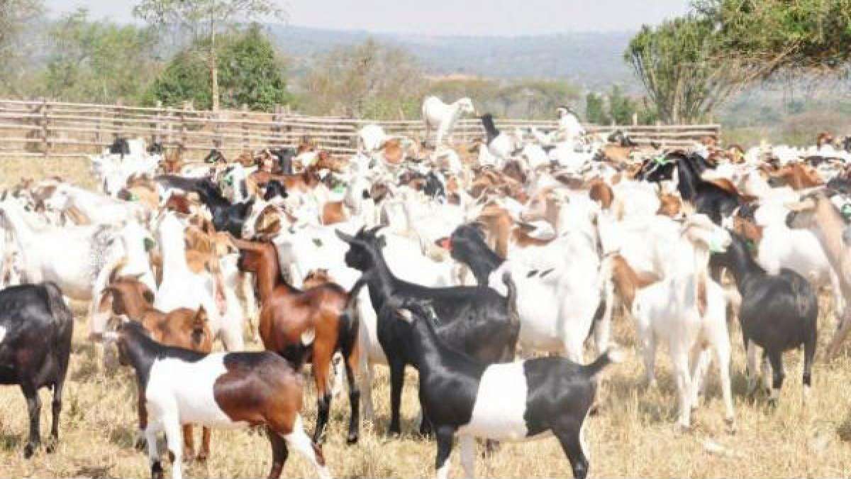  செலவுகள்