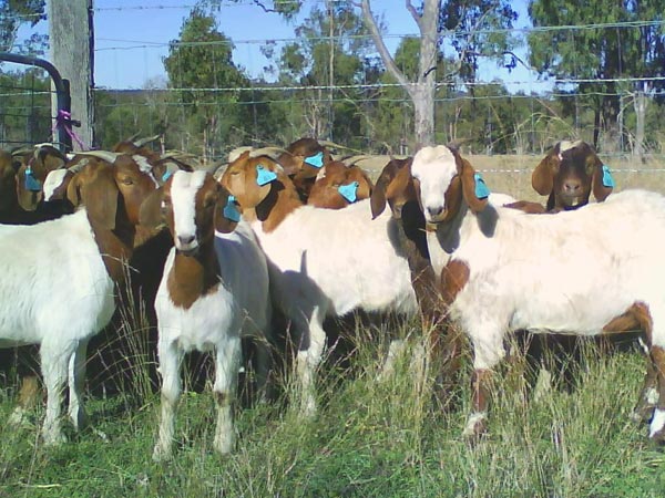  இளம் தலைமுறை